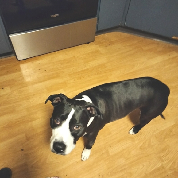 Meet your Posher, Rini kay lynne - Picture 5 of 5